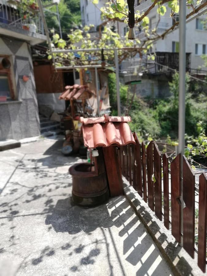 Дом Бакалски-Кмета Narechenski Bani Ngoại thất bức ảnh